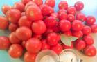 Sormella nuolevia tomaatteja ilman kuorta ja marinadia