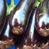 Салат с баклажанами и фасолью на зиму: рецепты Салат из баклажан и фасолью