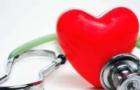 Xơ vữa động mạch: nguyên nhân, dấu hiệu bệnh lý, điều trị