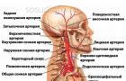Cerebral aterosklerose av cerebrale kar: behandling